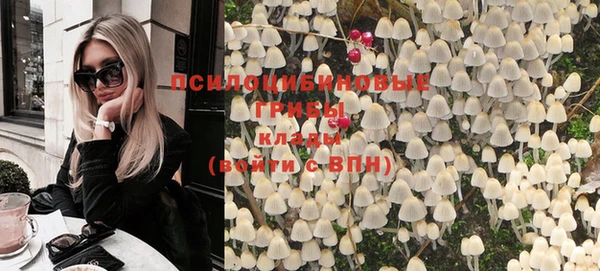 винт Покачи