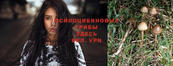 хмурый Покров