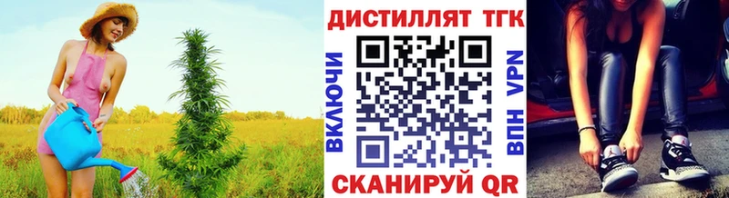 купить  цена  Сурск  ТГК концентрат 