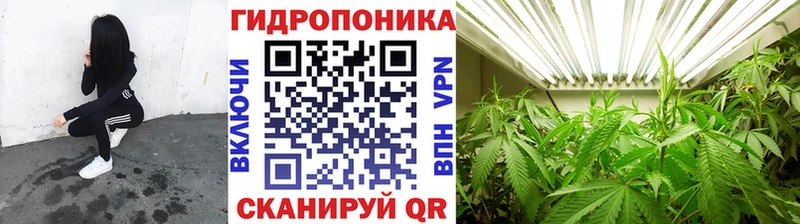 Канабис планчик  Сурск 